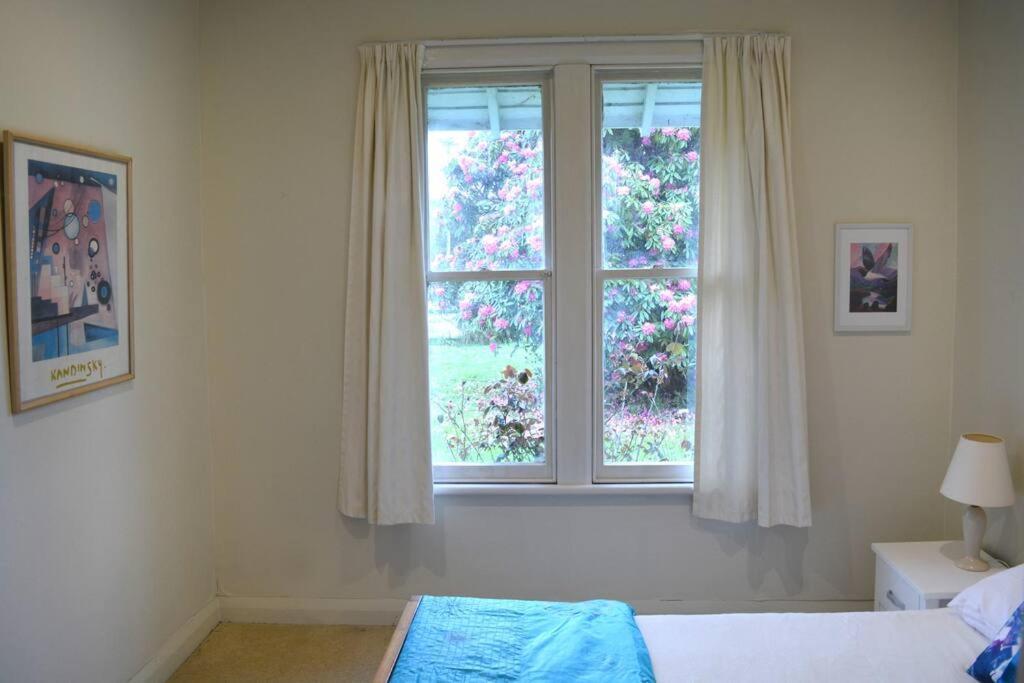 Riverlea Cottage - Cosy, Comfy, Quiet, Central Taumarunui Exterior foto