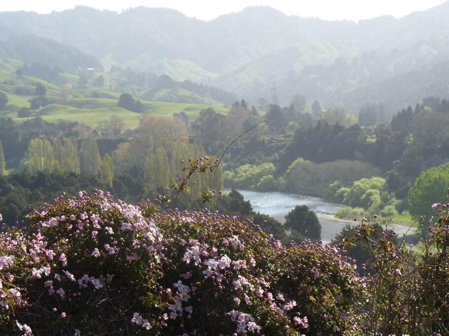 Riverlea Cottage - Cosy, Comfy, Quiet, Central Taumarunui Exterior foto